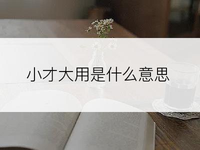 小才大用是什么意思