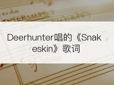 Deerhunter唱的《Snakeskin》歌词