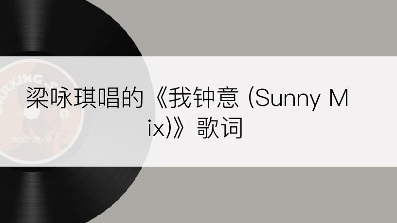 梁咏琪唱的《我钟意 (Sunny Mix)》歌词