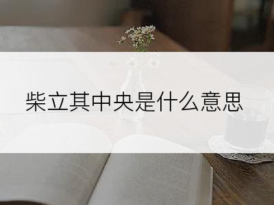 柴立其中央是什么意思