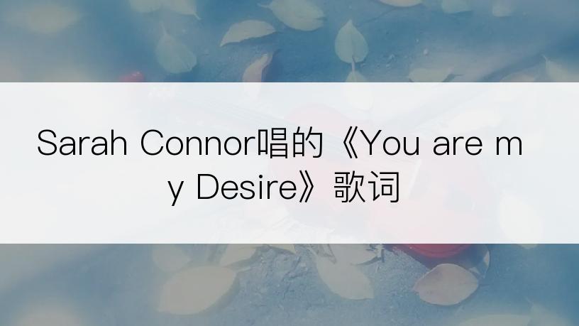 Sarah Connor唱的《You are my Desire》歌词