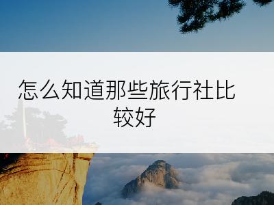 怎么知道那些旅行社比较好