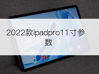 2022款ipadpro11寸参数