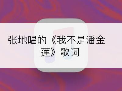 张地唱的《我不是潘金莲》歌词