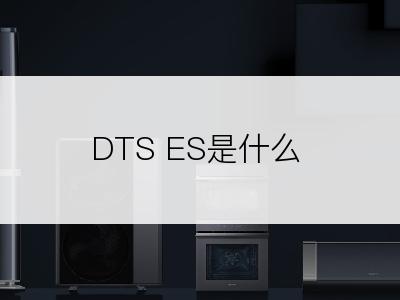 DTS ES是什么