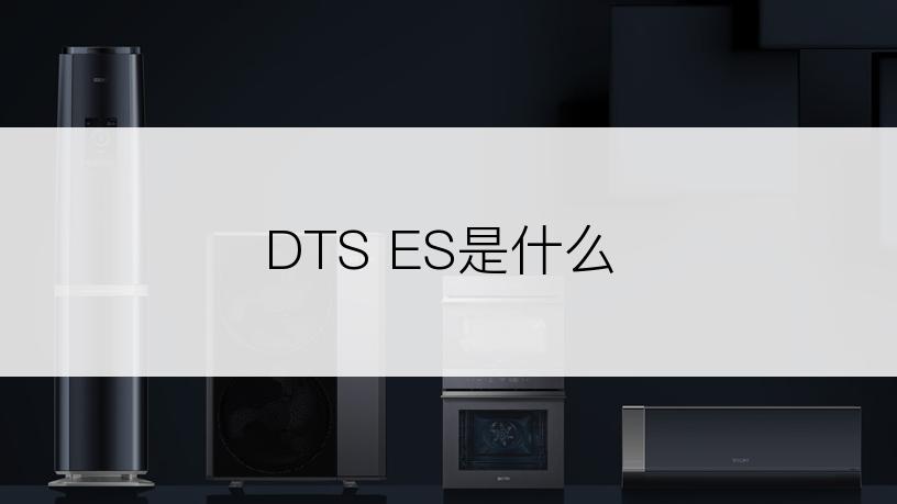 DTS ES是什么