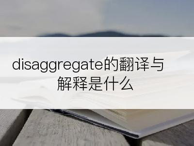 disaggregate的翻译与解释是什么