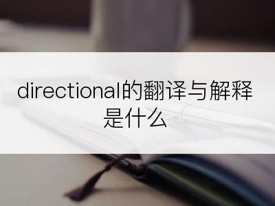 directional的翻译与解释是什么