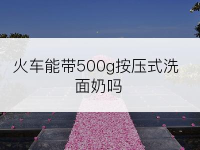 火车能带500g按压式洗面奶吗