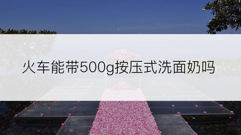 火车能带500g按压式洗面奶吗