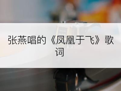 张燕唱的《凤凰于飞》歌词