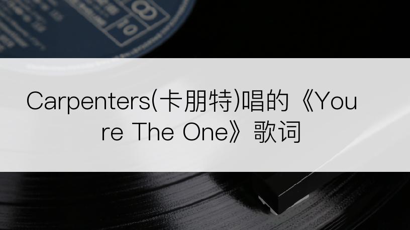 Carpenters(卡朋特)唱的《Youre The One》歌词