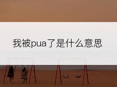 我被pua了是什么意思