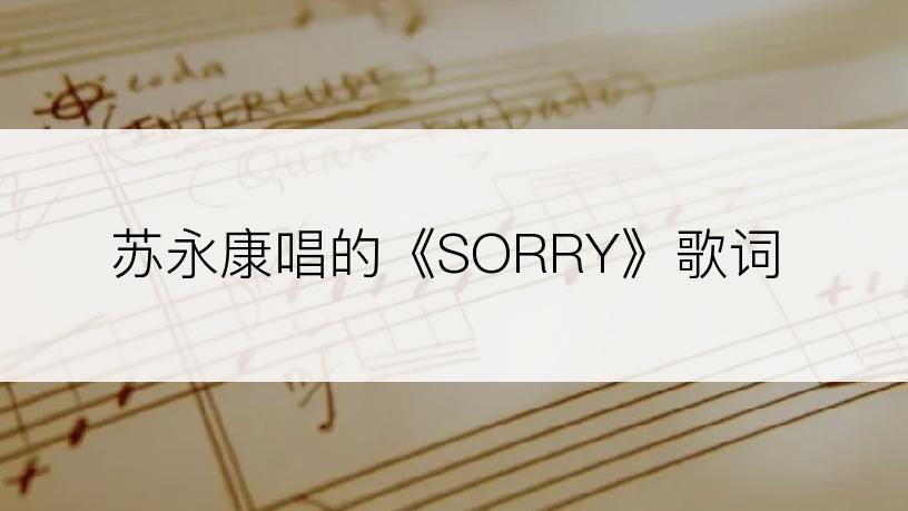 苏永康唱的《SORRY》歌词