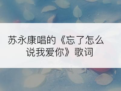 苏永康唱的《忘了怎么说我爱你》歌词