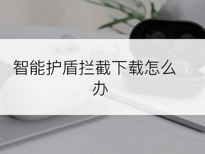 智能护盾拦截下载怎么办