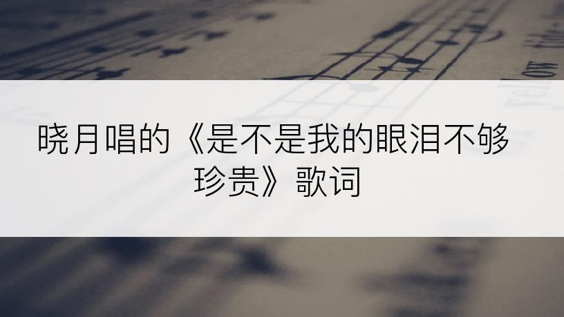 晓月唱的《是不是我的眼泪不够珍贵》歌词