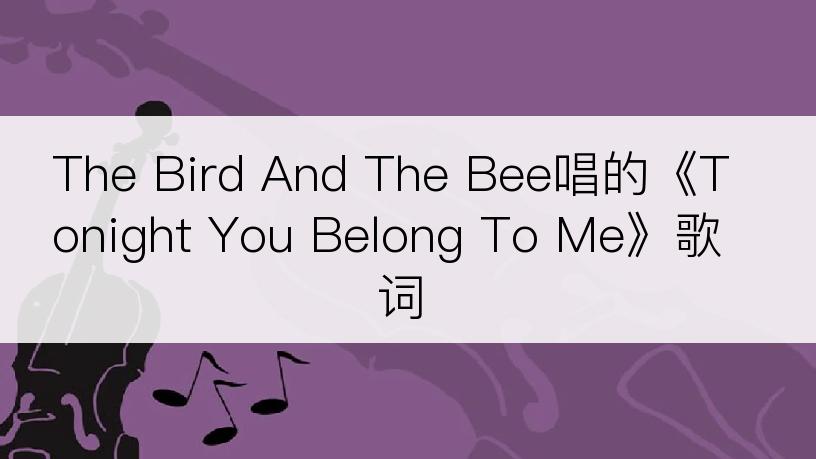 The Bird And The Bee唱的《Tonight You Belong To Me》歌词