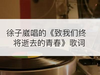 徐子崴唱的《致我们终将逝去的青春》歌词