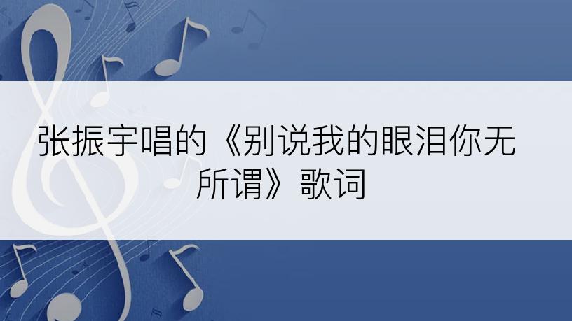 张振宇唱的《别说我的眼泪你无所谓》歌词