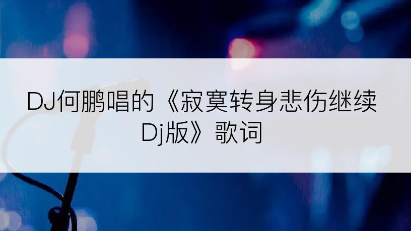 DJ何鹏唱的《寂寞转身悲伤继续Dj版》歌词