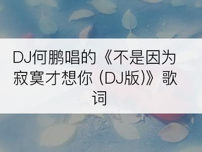 DJ何鹏唱的《不是因为寂寞才想你 (DJ版)》歌词