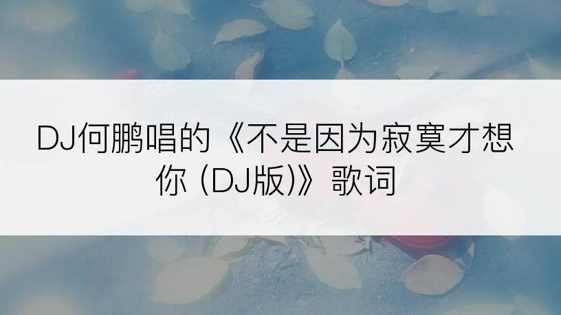 DJ何鹏唱的《不是因为寂寞才想你 (DJ版)》歌词