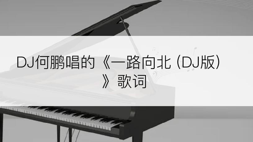 DJ何鹏唱的《一路向北 (DJ版)》歌词