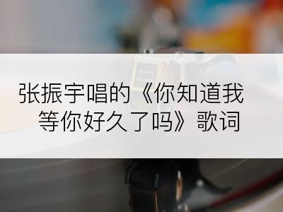 张振宇唱的《你知道我等你好久了吗》歌词