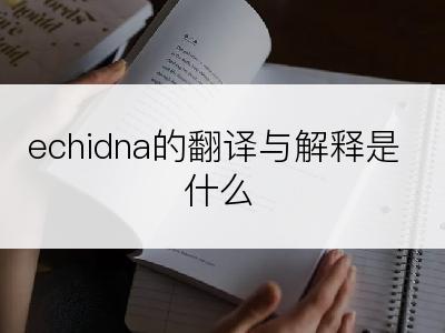 echidna的翻译与解释是什么