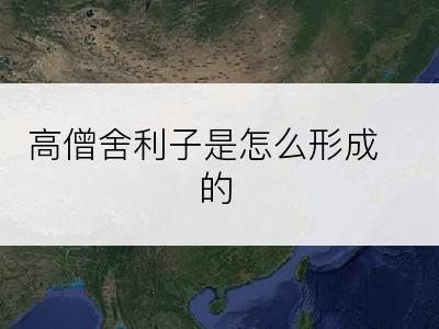 高僧舍利子是怎么形成的