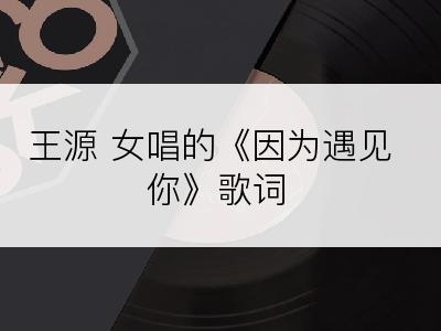 王源 女唱的《因为遇见你》歌词