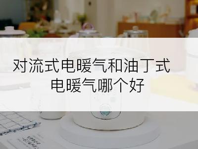 对流式电暖气和油丁式电暖气哪个好