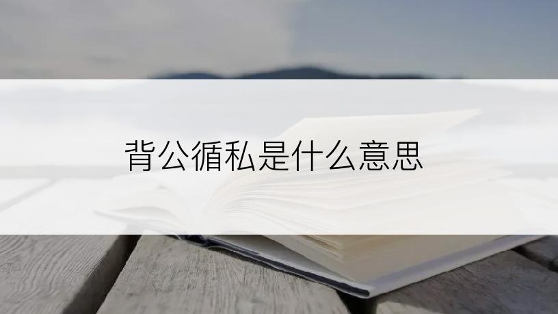 背公循私是什么意思