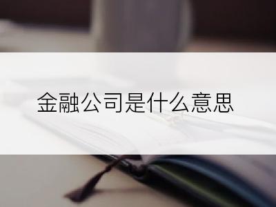 金融公司是什么意思