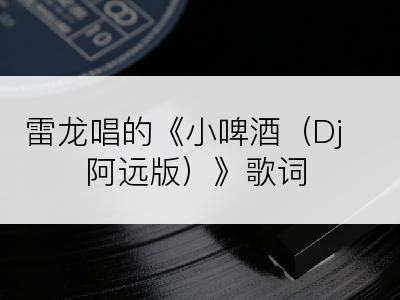 雷龙唱的《小啤酒（Dj阿远版）》歌词