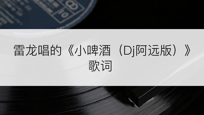 雷龙唱的《小啤酒（Dj阿远版）》歌词