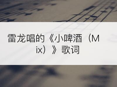 雷龙唱的《小啤酒（Mix）》歌词