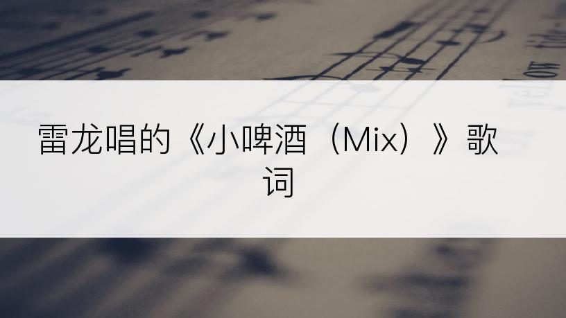 雷龙唱的《小啤酒（Mix）》歌词