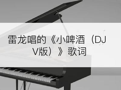 雷龙唱的《小啤酒（DJV版）》歌词