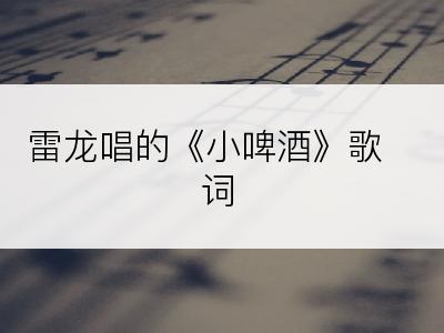 雷龙唱的《小啤酒》歌词