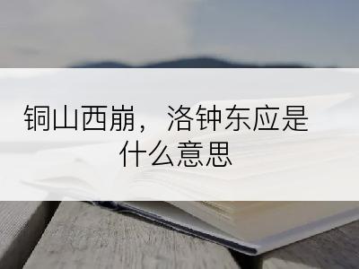 铜山西崩，洛钟东应是什么意思