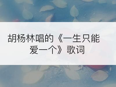 胡杨林唱的《一生只能爱一个》歌词