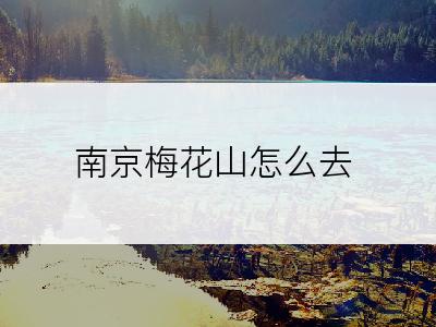 南京梅花山怎么去