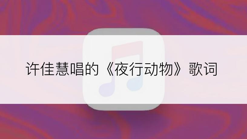 许佳慧唱的《夜行动物》歌词