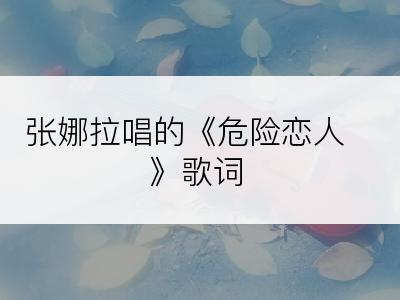 张娜拉唱的《危险恋人》歌词