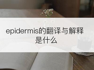 epidermis的翻译与解释是什么