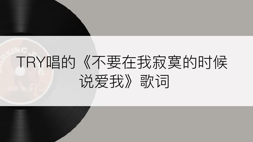 TRY唱的《不要在我寂寞的时候说爱我》歌词