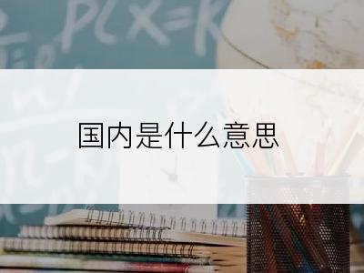 国内是什么意思