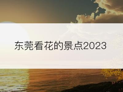 东莞看花的景点2023